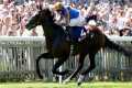 Exciting SCANDINAVIA looks St Leger