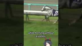 Umamusume Lore You Didn't Know: Silver Sonics Solo Race