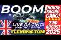 Live Horse Racing Australia | Free