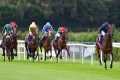 MONTREAL mauls rivals in Leopardstown 