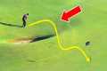 20 Most GENIUS Golf Shots Ever