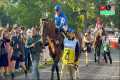 2025 Travers Stakes: Sovereignty