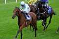 PRIDE OF ARRAS back in business with