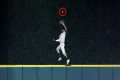 MLB | Home Run Robberies