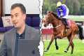Horses to follow: four for the jumps