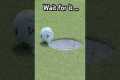 ALL-TIME cliffhanger putt 😱