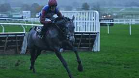 Real one NO DRAMA THIS END looks set for the top | Racing TV