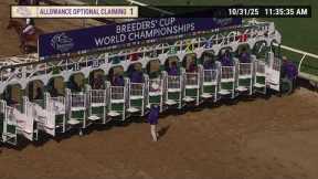 Vodka Vodka wins race 1 at Del Mar 10/31/25