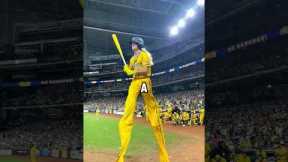 The Stilt Slugger (@dakotastiltsalbritton)