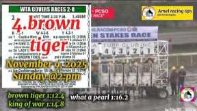 MMTCI ARNEL RACING TIPS SUNDAY @2:PM NOVEMBER 9, 2025 @metroturfracingtv PLS WATCH AND SUBSCRIBE 