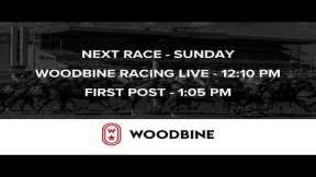Woodbine Racetrack - Saturday, November 23, 2025