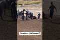 Horse Racing Accident at Sweetwater