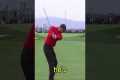 The Most Unbelievable Golf Shots