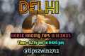DELHI RACE TIPS 11-11-2025 | TIPS