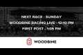 Woodbine Racetrack - Saturday,