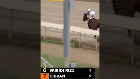 Horse Racing But It’s Just Skibidi Rizz #shorts #horseracing