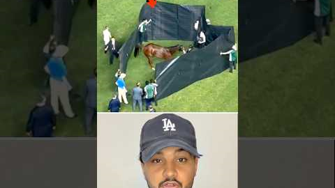 Horse Racing ka Sabse Dardnaak Moment 💔 #HorseRacing #AnimalWelfare #RacingReality #shorts