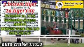MMTCI ARNEL RACING TIPS WEDNESDAY @12:PM DECEMBER 31,2025@metroturfracingtv WTC C/O - PICK SIX C/O
