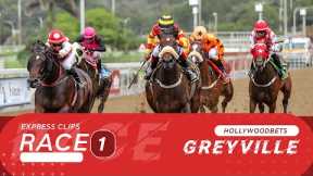 20251226 Hollywoodbets Greyville Race 1 won by KAVADY
