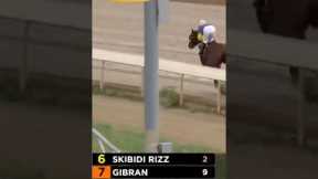 Horse Racing But It’s Just Skibidi Rizz #shorts #horseracing