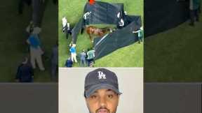 Horse Racing ka Sabse Dardnaak Moment 💔 #HorseRacing #AnimalWelfare #RacingReality #shorts