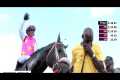 JAMAICA RACING: Rideallday Dismantles 
