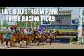 Live Gulfstream Park Horse Racing