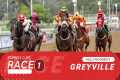 20251226 Hollywoodbets Greyville Race 
