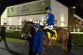 Golden View another Godolphin debut