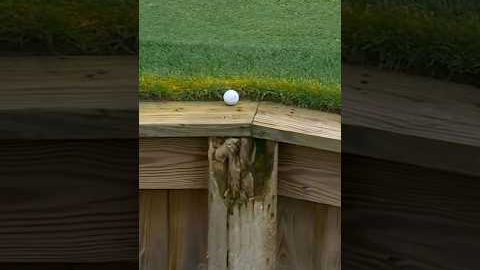 Golf can be cruel 😔