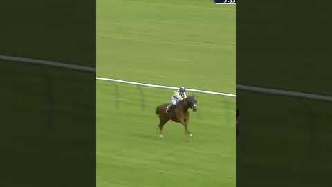 Horse somehow gets beat!