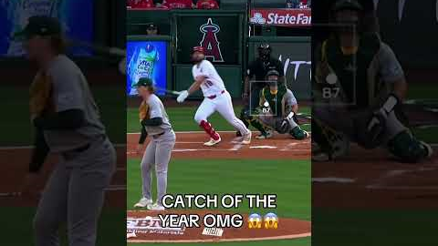 Baseball highlights #mlb#baseball #fyp#usa#funny