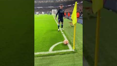 Dog Takes the Corner Kick! 🐶⚽😂 #football #soccer #funnymoments