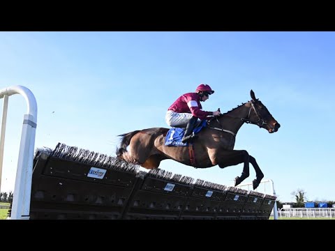LIVE New Year's Day Racing from Ireland - all the action from Fairyhouse and Tramore