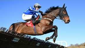 The Reverend: interesting prospect for Willie Mullins 👀