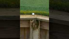 Golf can be cruel 😔