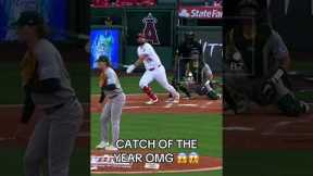 Baseball highlights #mlb#baseball #fyp#usa#funny