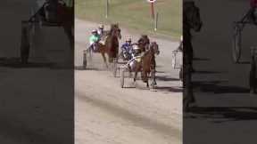Harness Racing Blooper 22/01/2024