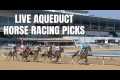 Live Aqueduct Horse Racing Picks. Win 
