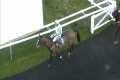 £125k buy Diamant Dore wins by half
