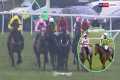 Feisty! | Jockeys clash after