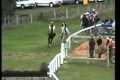 Horse Racing Fails.wmv