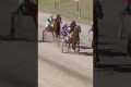 Harness Racing Blooper 22/01/2024