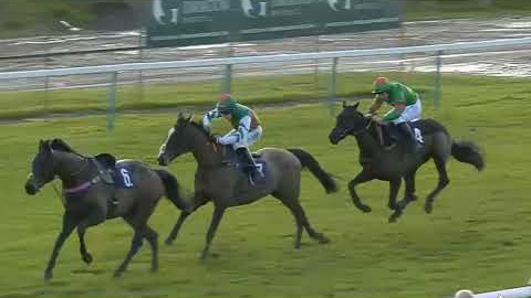 SHOCKING RACE MOMENT!  JOCKEY FALLS OFF- LOOSE HORSE KEEPS RUNNING INTERRUPTING OTHER RUNNERS