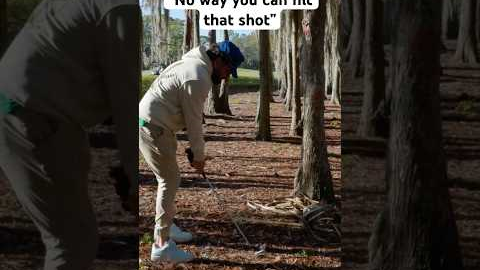 Steve Hit The IMPOSSIBLE Golf Shot.. 😳
