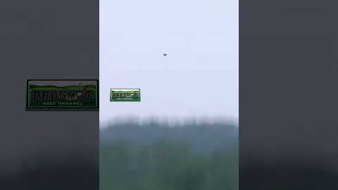 One Shot That Looked Deeply Trained #golf #GolfShot