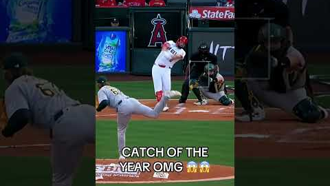 Baseball Highlights 🧢🥎#baseball#mlb#funny#usaus#fast