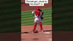 Baseball Highlights 🧢🥎#baseball #mlb #funny #usaus #fast