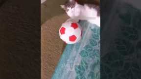 FOOTBALL FUNNY MOMENTS, SKILLS, GOALS & FAILS  #football #funny #soccer #skills #shorts