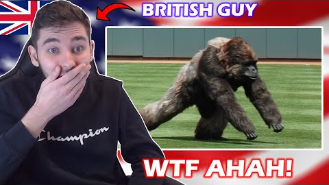 British Guy Reacts to Craziest 